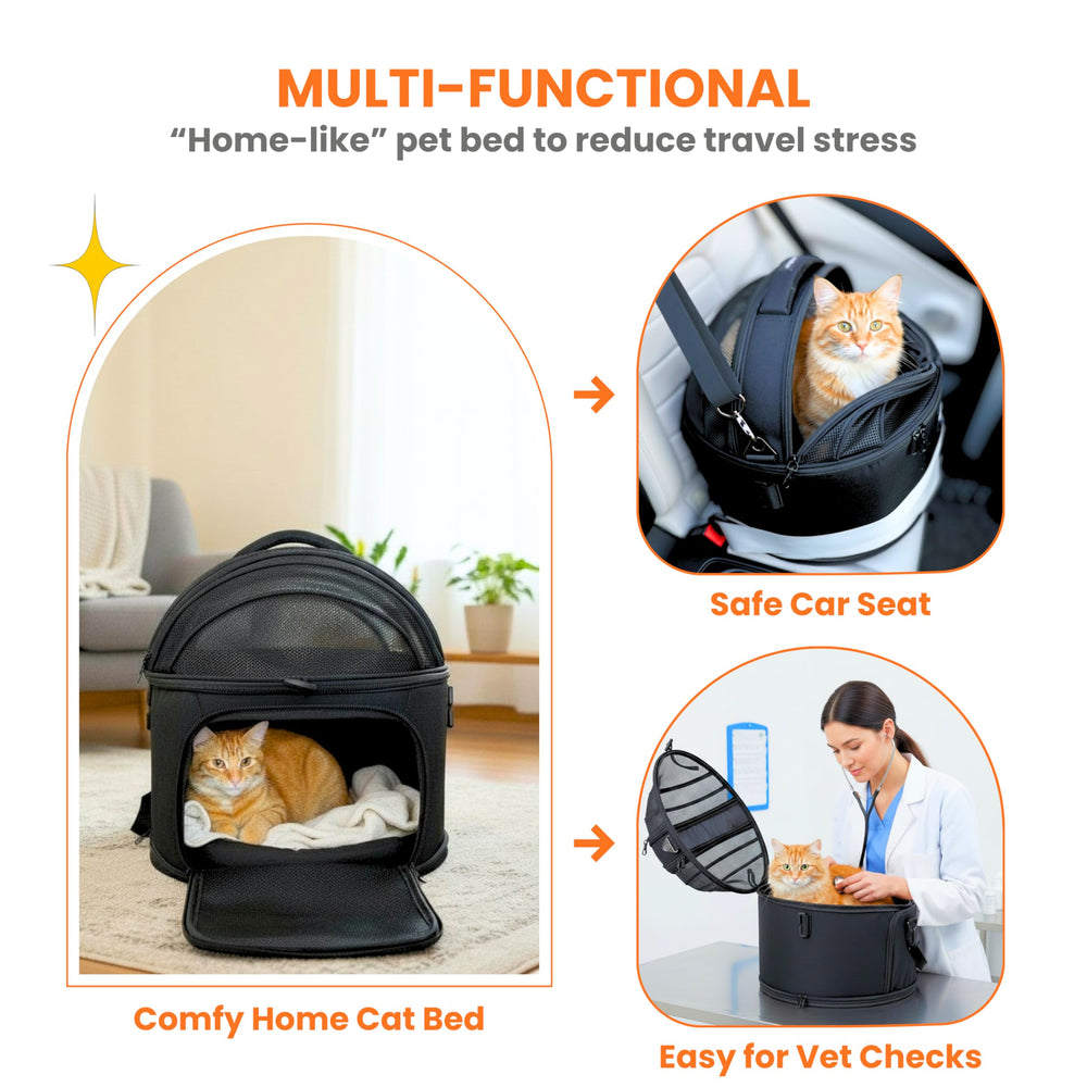 PawsInCar lifetime crash replacement program supports ongoing pet safety.