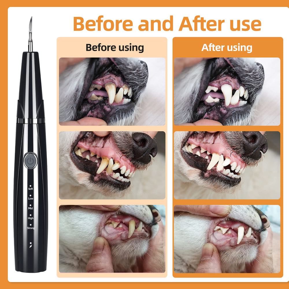 PAWSION five intensity settings adapt to different pet sizes.