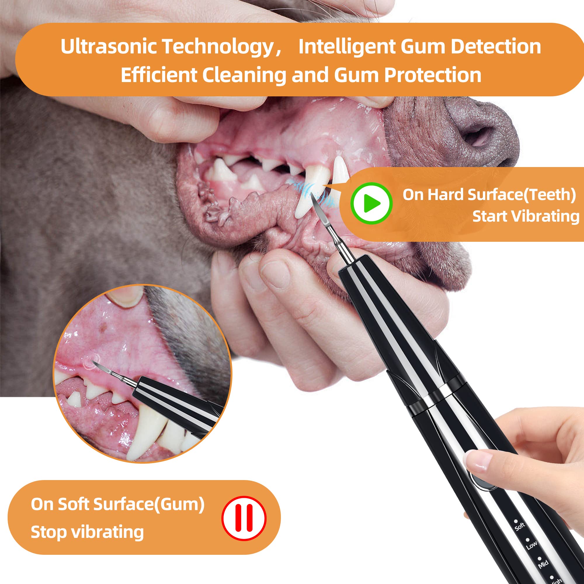 PAWSION replaceable heads and tools for versatile dental care.