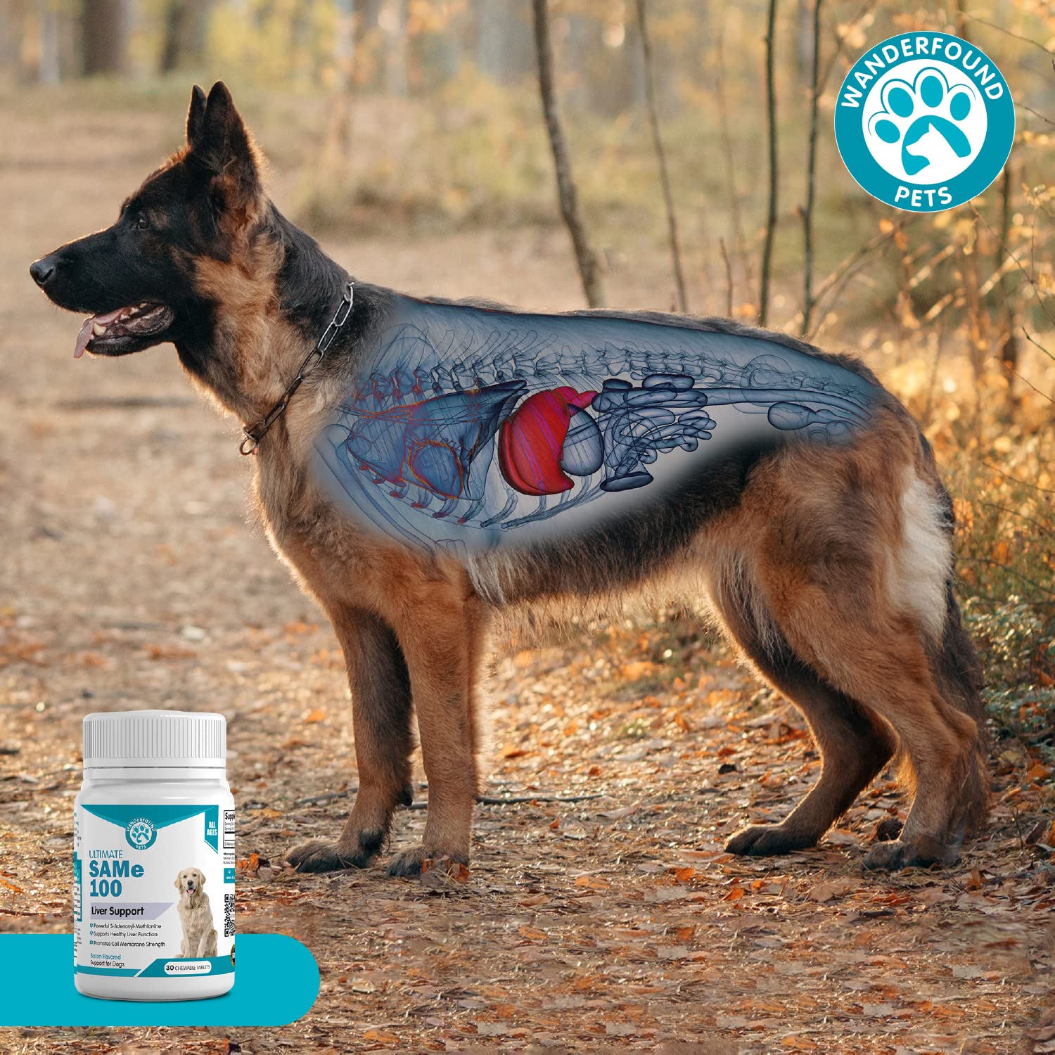Single-dose chew next to bottle cap for scale.