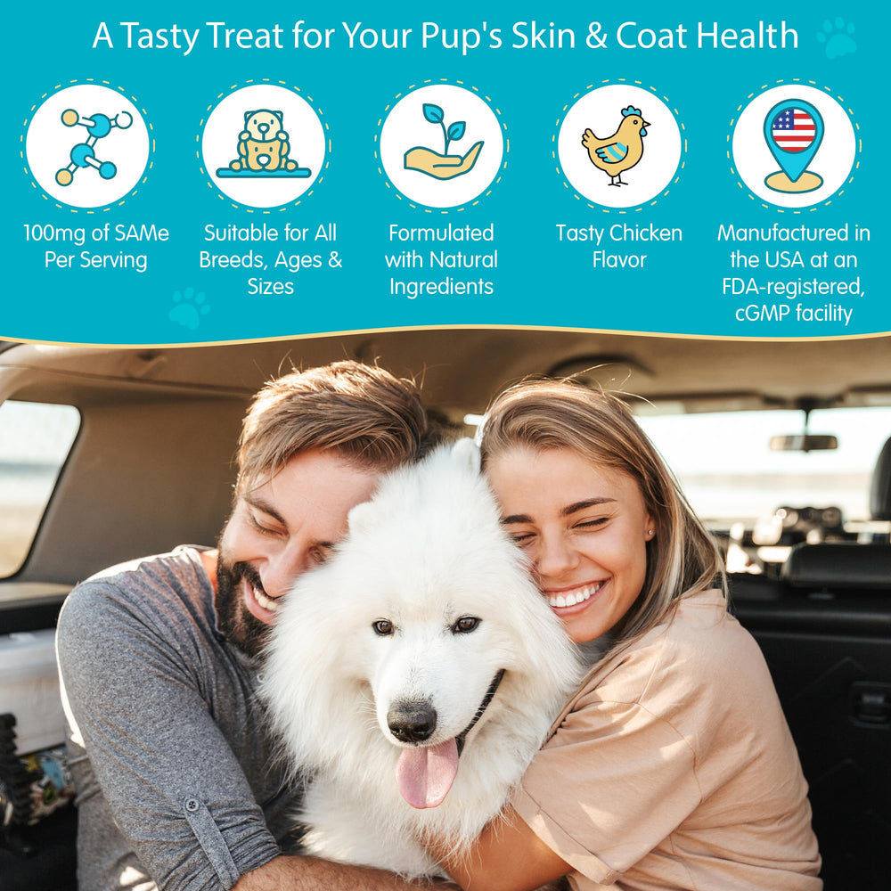 Pawsitive Same 100 bottle label with USA-made promise and clean ingredients