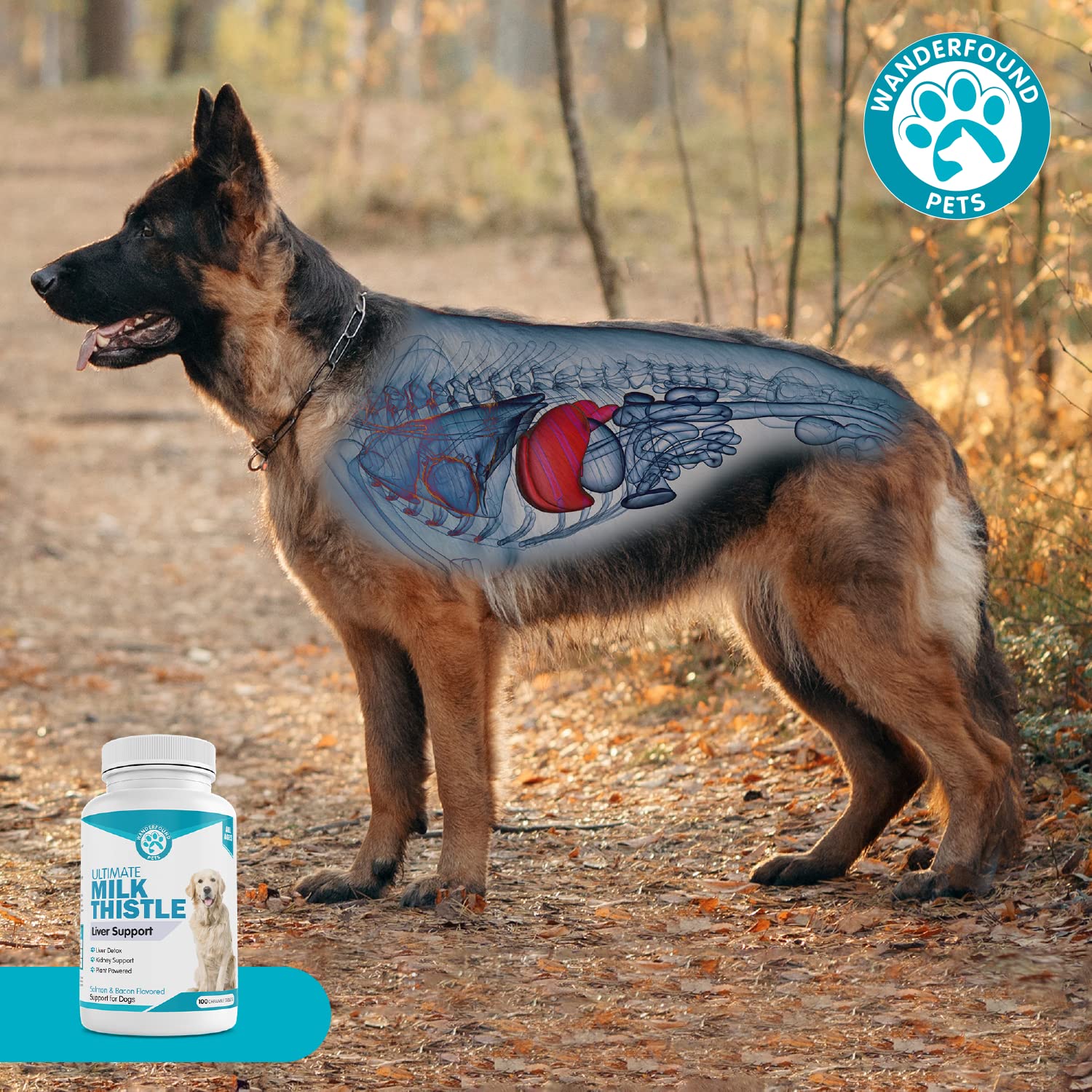 Pawsitive Wanderfound bottle label shows clear dosing guidance.