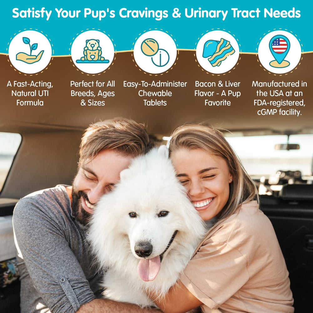 Pawsitive Wanderfound box and packaging on a countertop implies easy daily dosing.