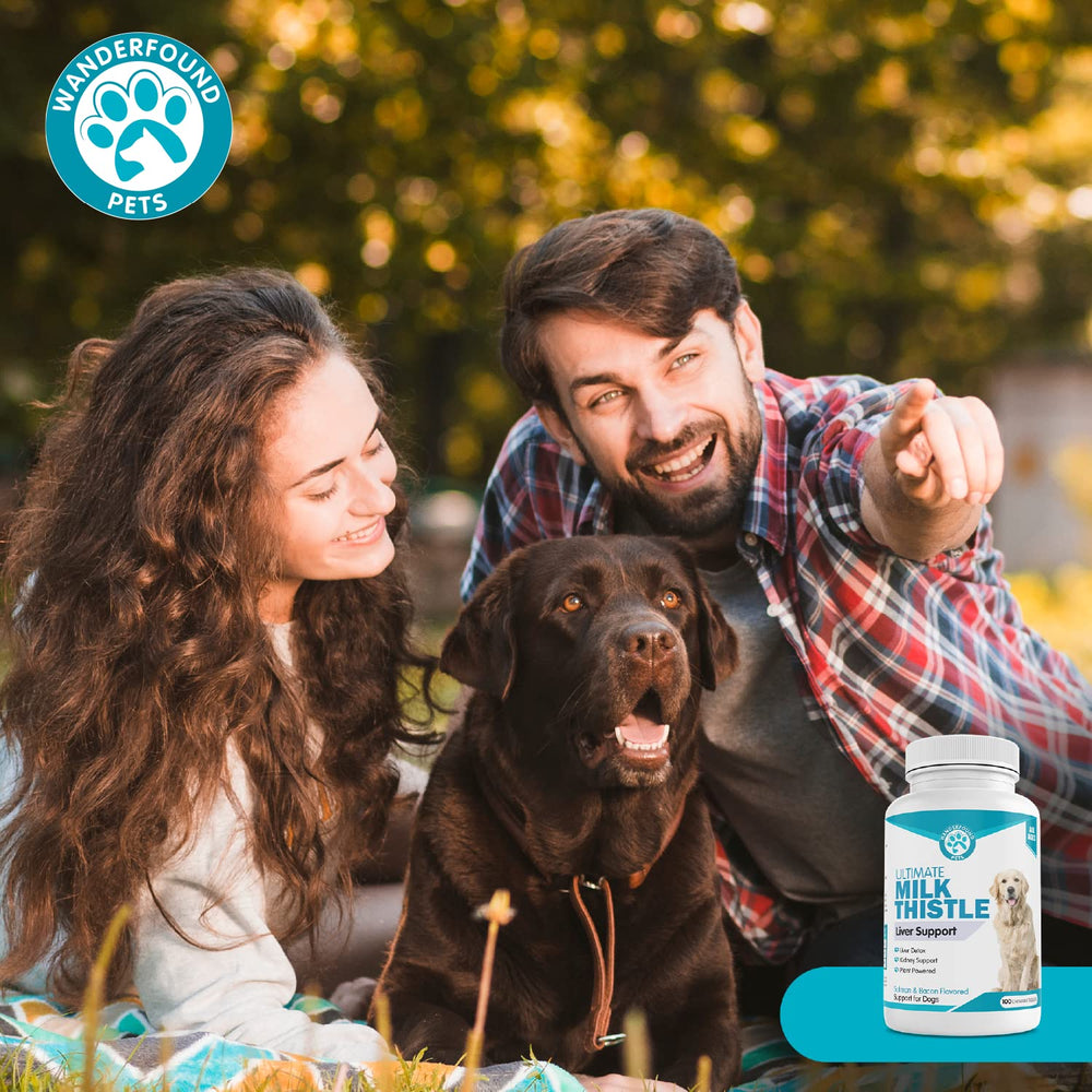 Pawsitive Wanderfound packaging emphasizes trusted, premium pet care.