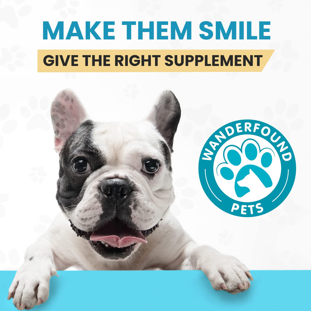 Pawsitive Wanderfound omega-3 chews suit puppies to seniors for daily wellness.