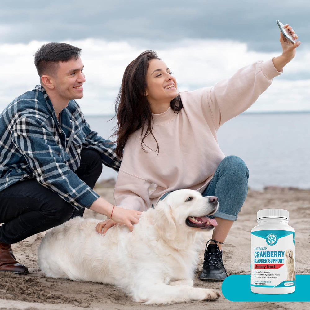 Pawsitive Wanderfound USA-made packaging signals quality and care.
