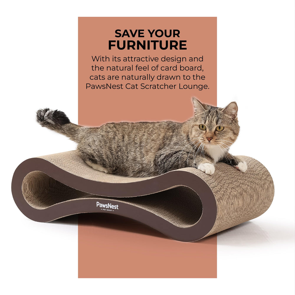 PawsNest modern design with 21.65-inch length fits homes.