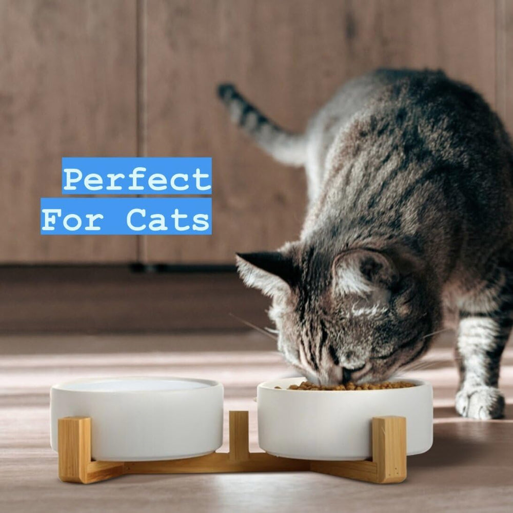 Pawsome 1.7-cup bowls ideal for cats, kittens, and small dogs.
