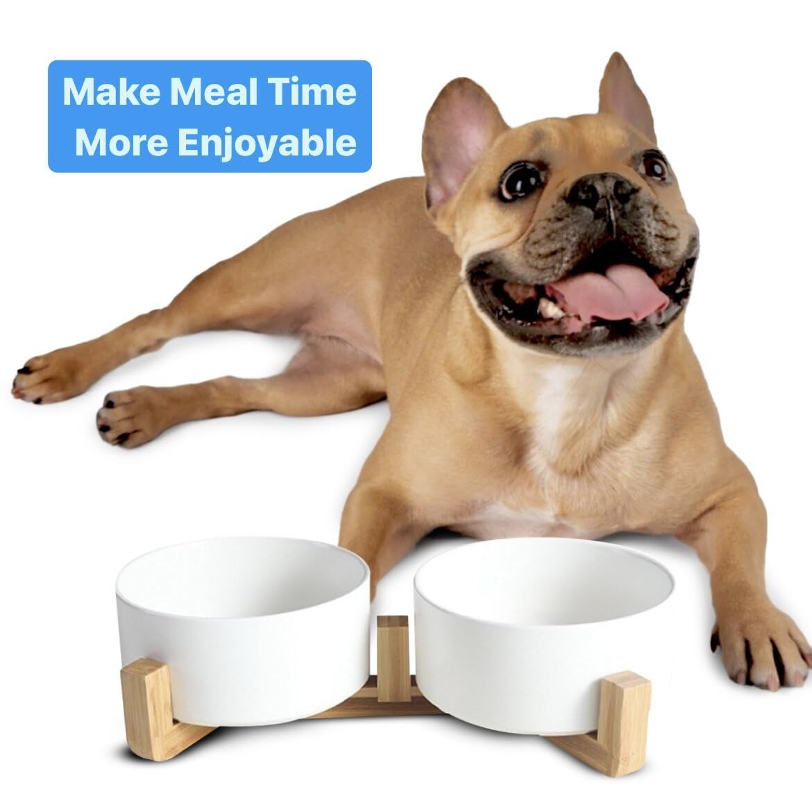 Pawsome dishwasher-safe bowls enable quick cleanup after meals.