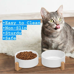 Pawsome microwave-safe porcelain bowls simplify warming pet meals.