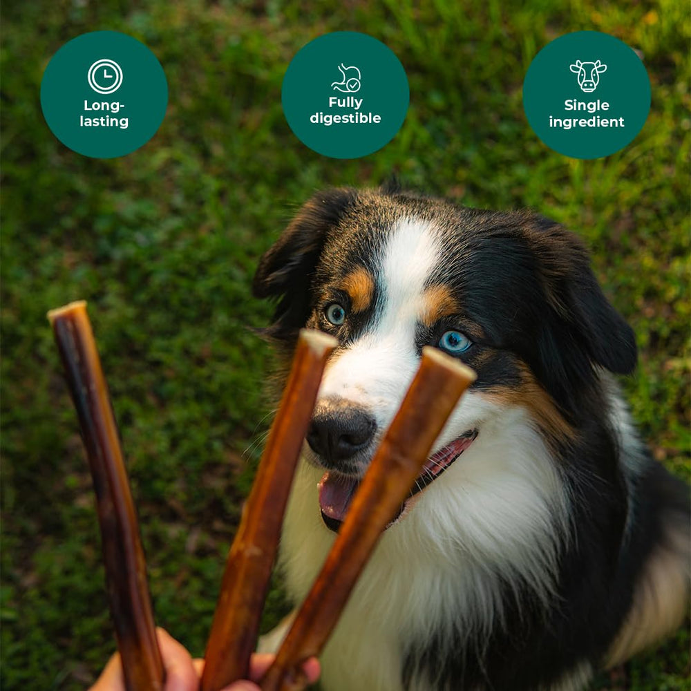 Pawsome Ranch bully sticks ethically sourced promise responsible, high-quality pet treats.