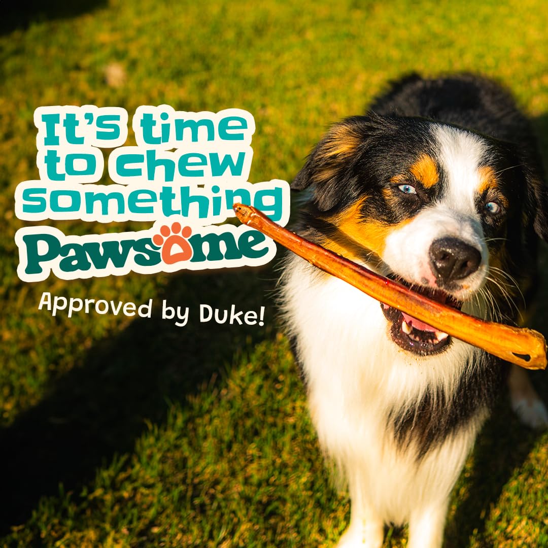 Pawsome Ranch bully sticks made from beef offer a protein-rich treat for daily enjoyment.