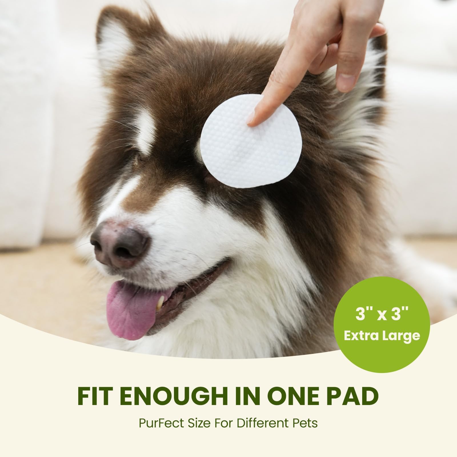 PawSono Eye Wipes are alcohol-free, dye-free, and bleach-free for sensitive pets.
