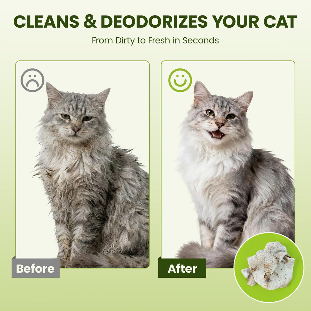 PawSono wipes for paws care after outdoor trips.