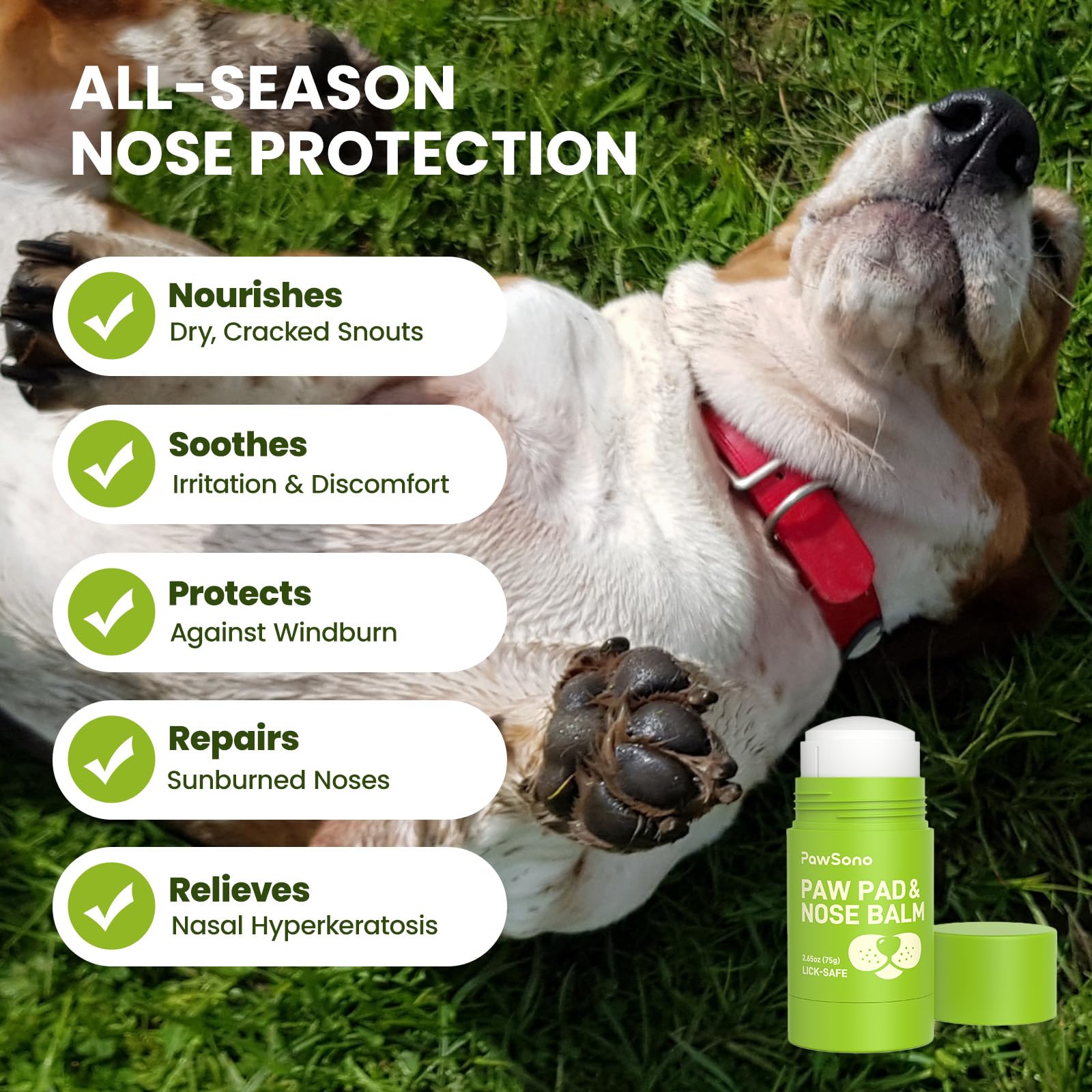PawSono lick-safe dog balm in action—safe if licked during daily use.