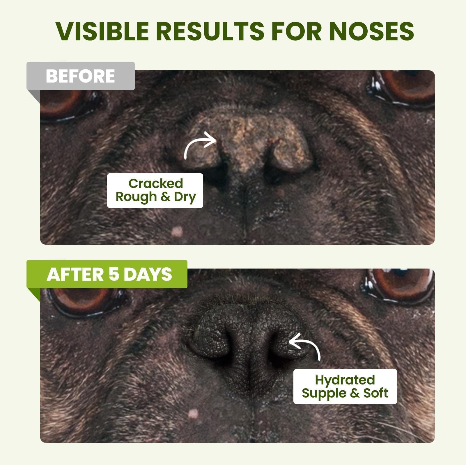 PawSono spring-paw-care image shows year-round protection from irritants.
