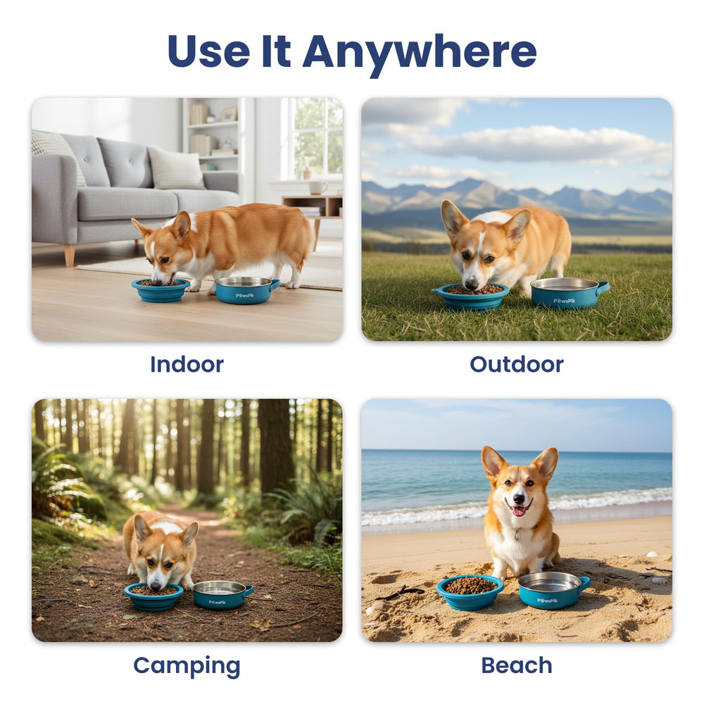 PAWSPIK bowl fits both dogs and cats on outdoor adventures.