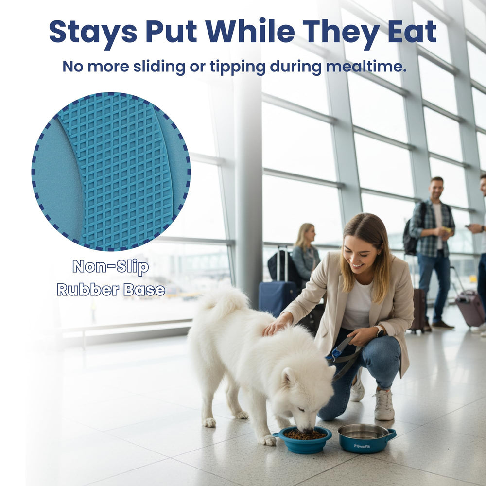 PAWSPIK silicone handle adds a comfortable grip for carry-and-serve moments.