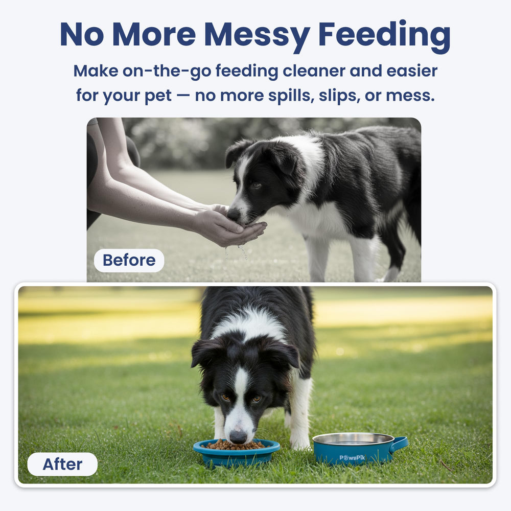 PAWSPIK non-slip base keeps bowls steady during outdoor meals.