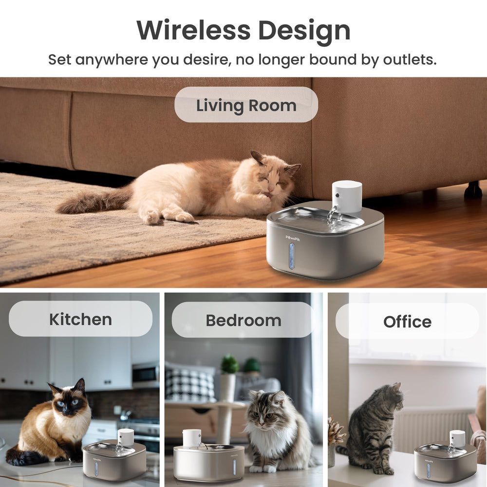 PAWSPIK dishwasher-safe design makes cleaning quick and easy.