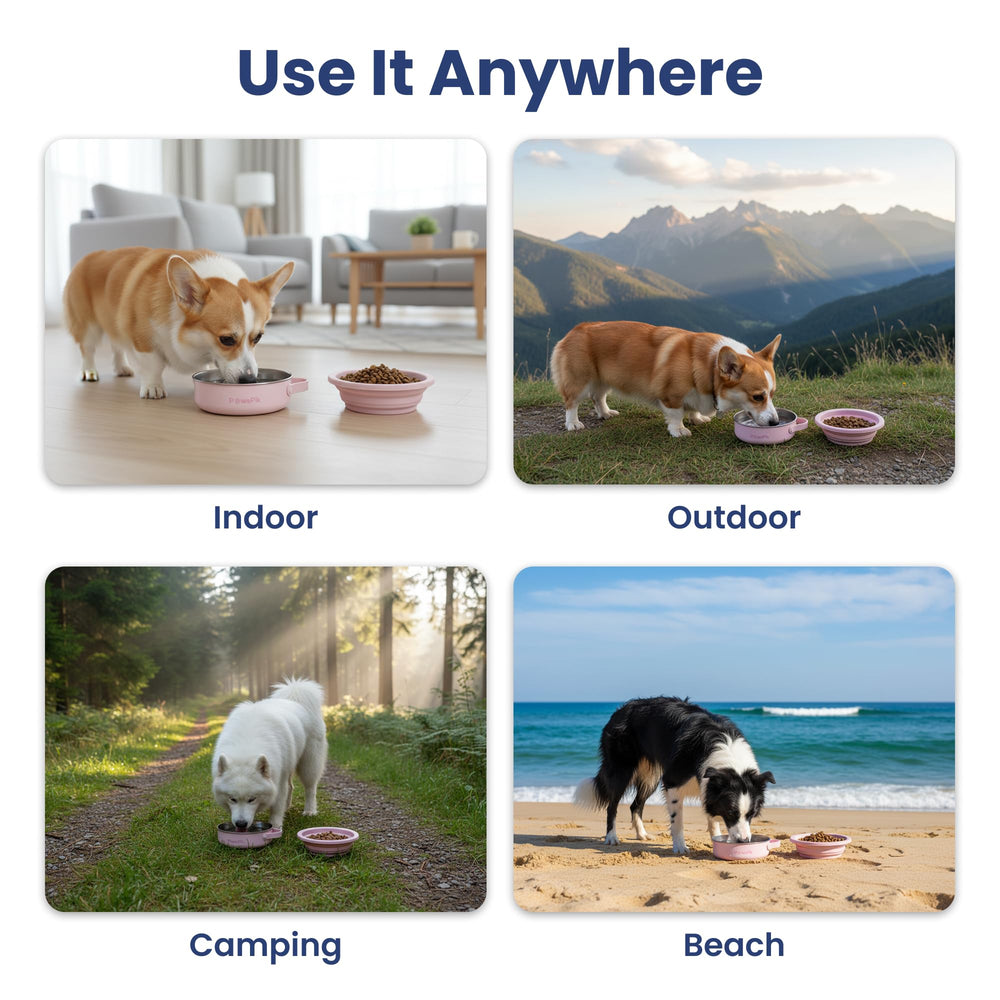 PAWSPIK reliable outdoor feeding solution for parks and hikes.