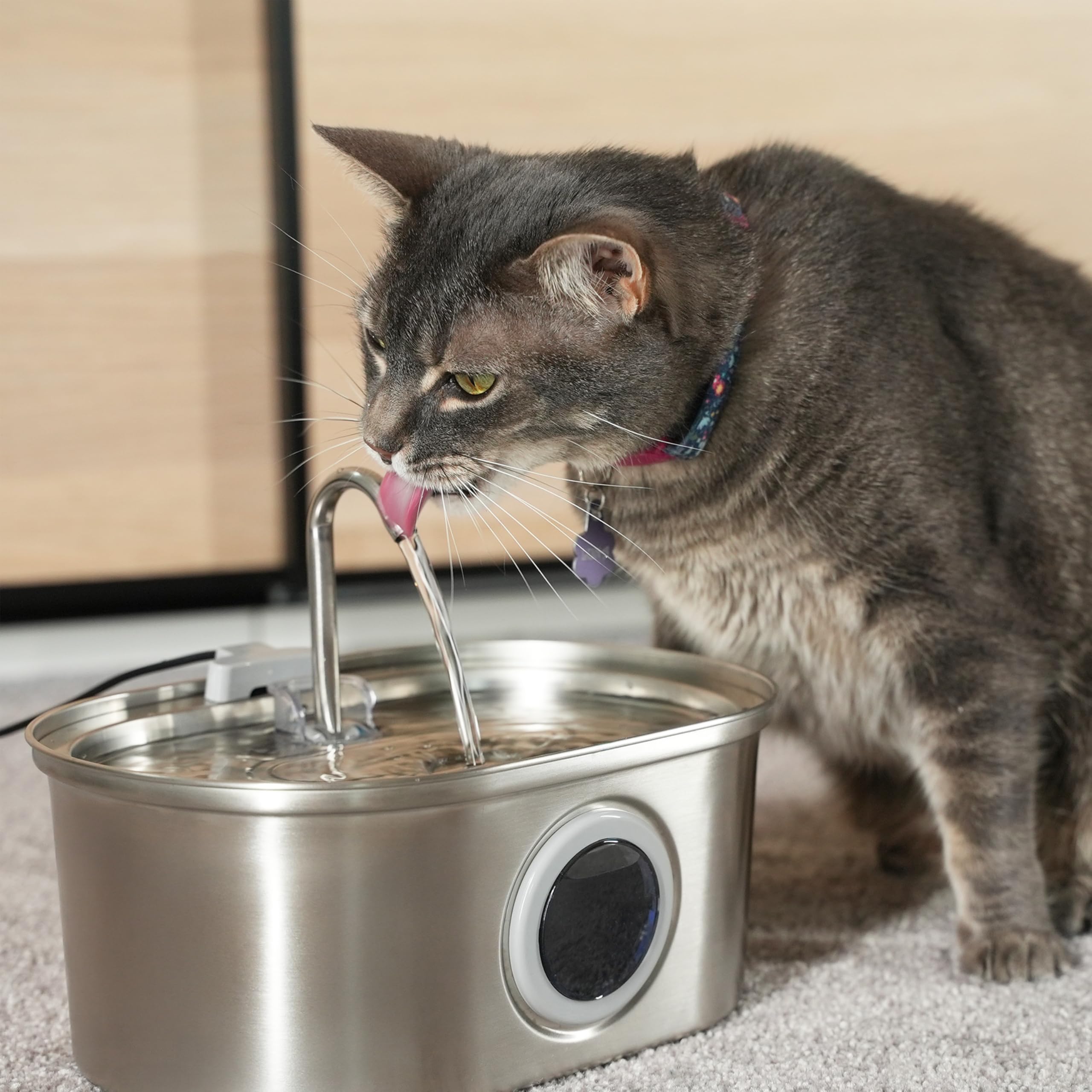 PAWSPIK SS-01 indoor-use fountain suits homes with cats and small dogs.