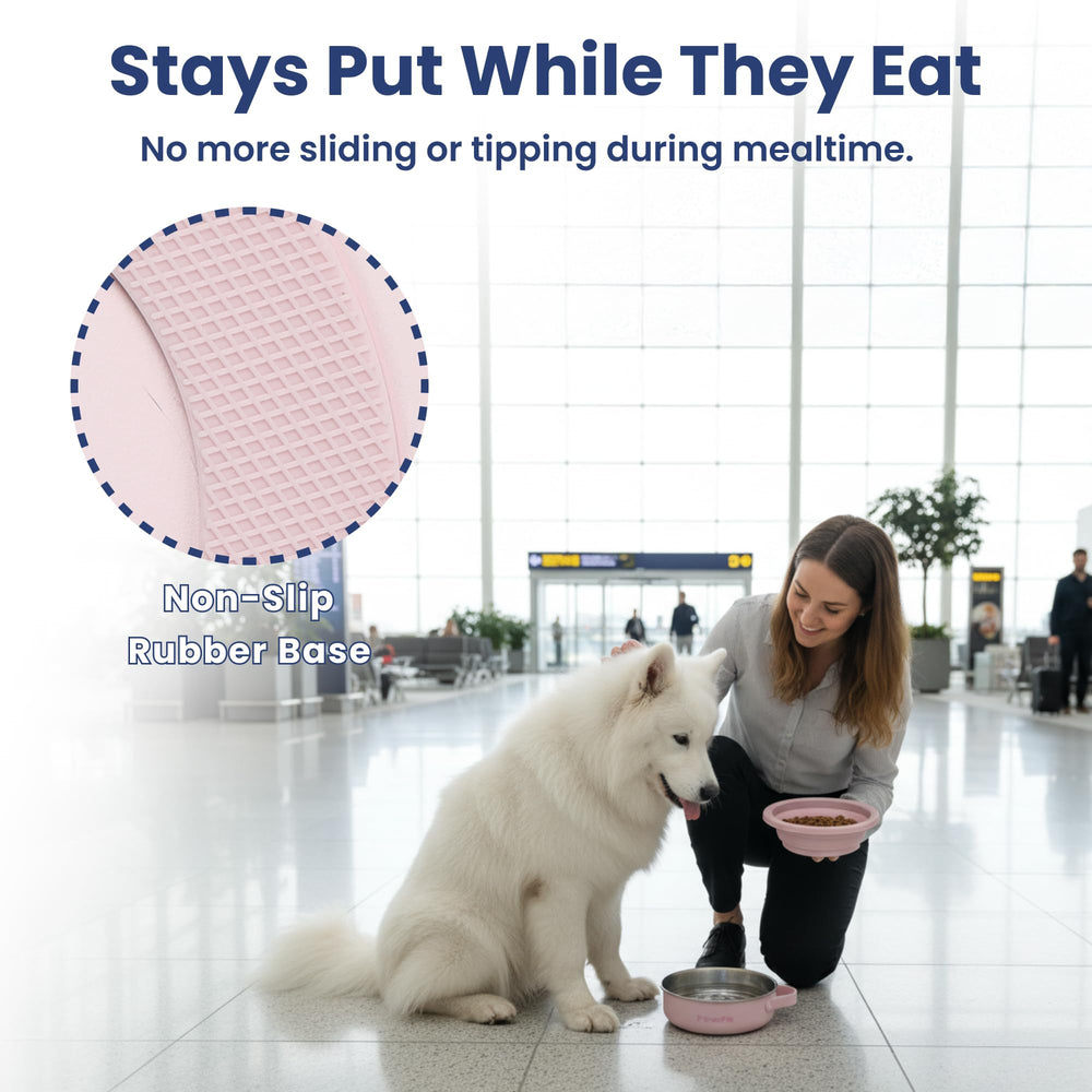 PAWSPIK stainless steel base provides durable support during travel.