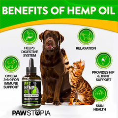 Pawstopia hemp oil dropper enabling easy daily dosing for pets.