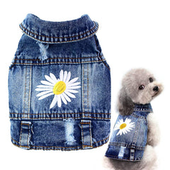 Pawstrip denim jacket with daisy embroidery adds charm for small dogs.