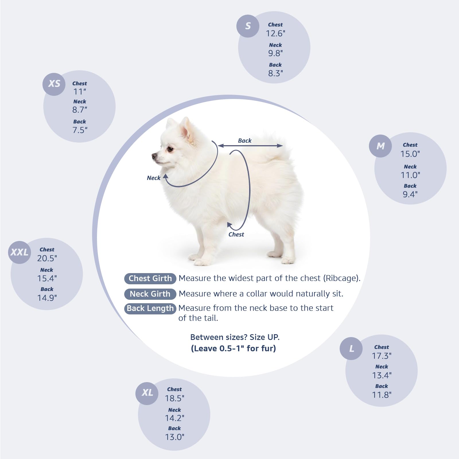 Pawstrip small-dog fashion jacket with lapel collar for easy on/off.