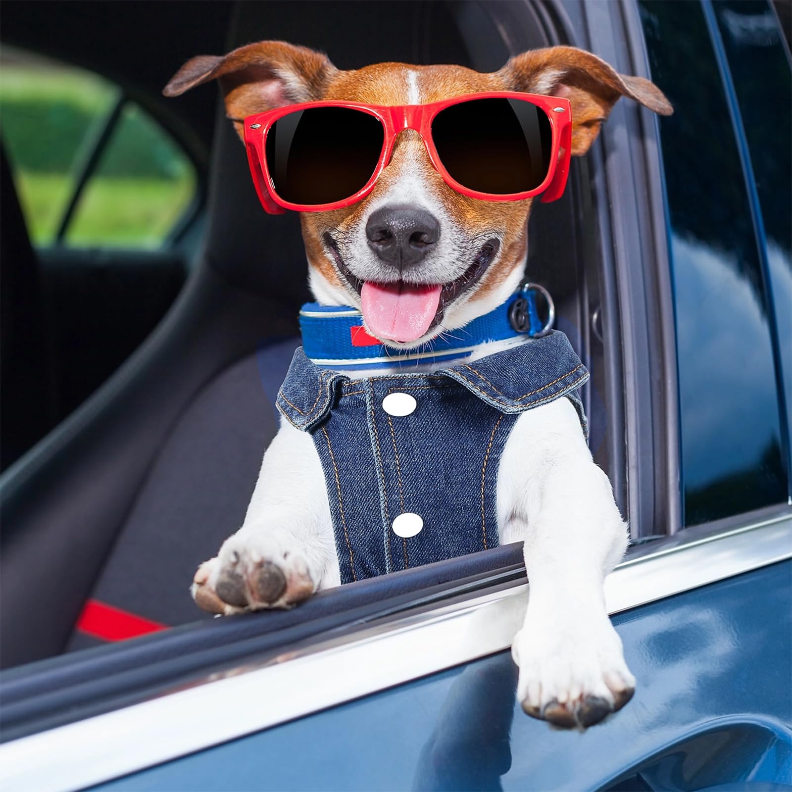 Pawstrip denim jacket offers sun protection in summer and warmth in cooler months