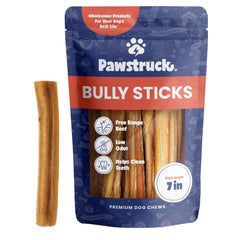 Pawstruck 7-inch bully stick beef pizzle—long-lasting chew to entertain dogs.