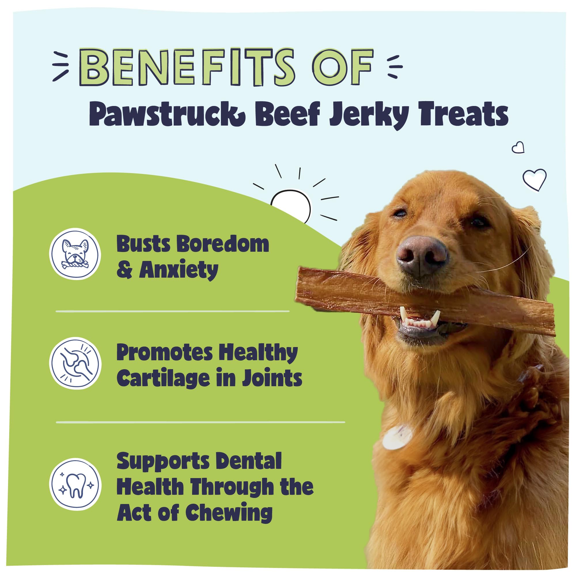 Pawstruck beef jerky large 10in closeup texture shows high meat quality.