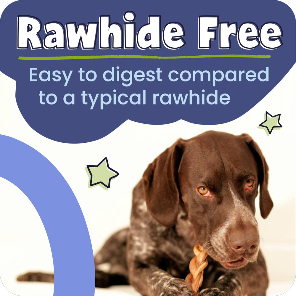 Close-up of Pawstruck beef pizzle texture, natural aroma.