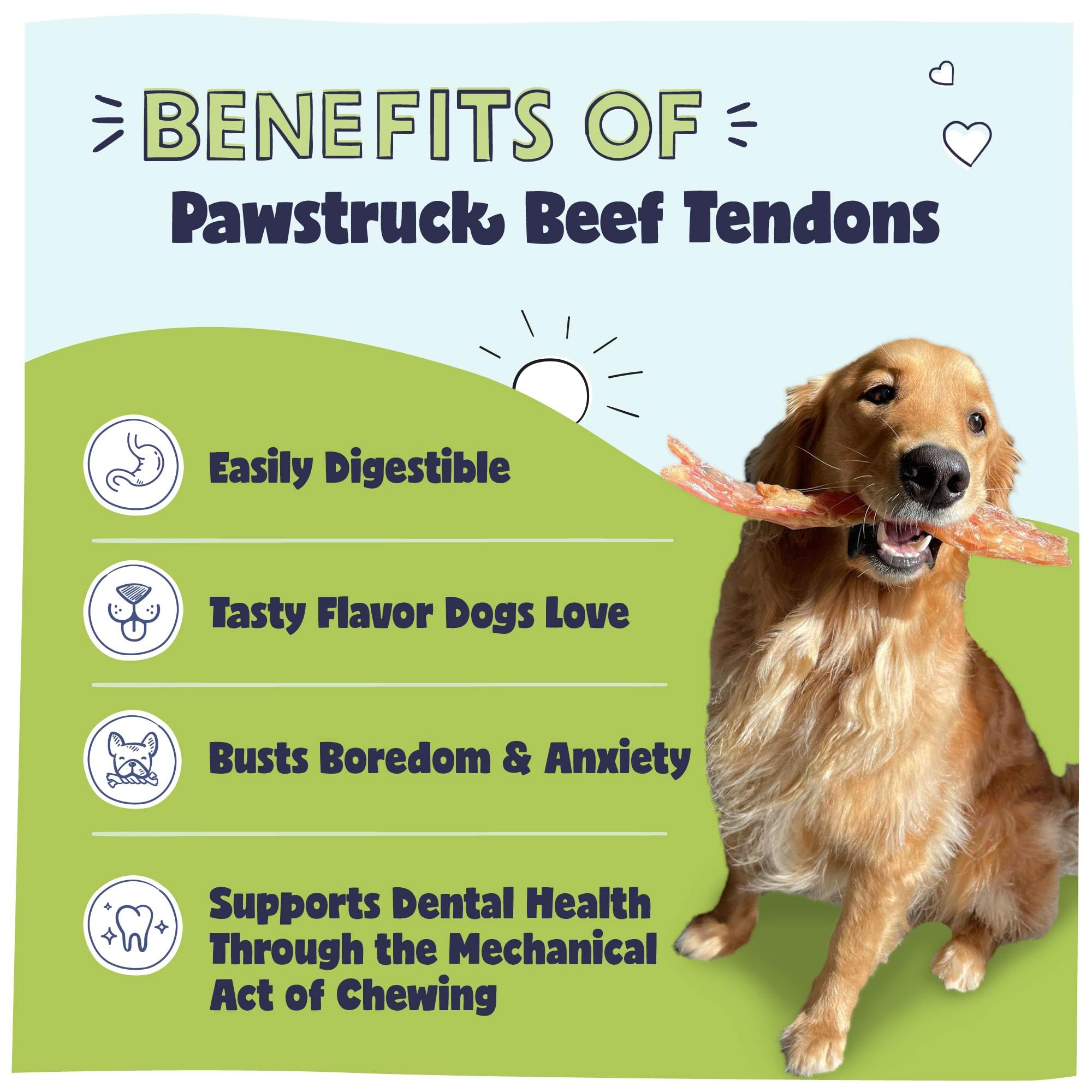 Pawstruck Beef Tendon Chew Stick in use, dog chewing happily.