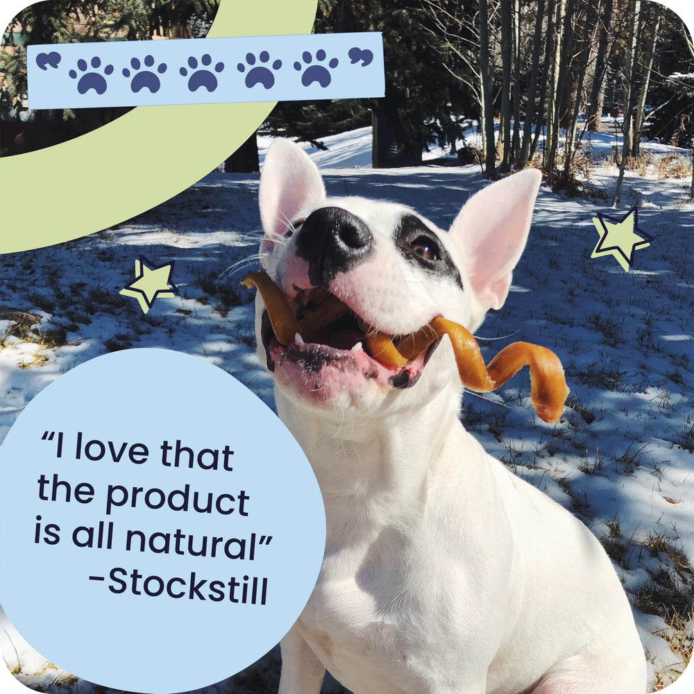 Pawstruck bully sticks carry natural beef scent without additives