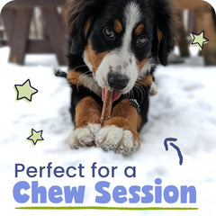 Pawstruck bully sticks rawhide-free chew for safer chewing sessions
