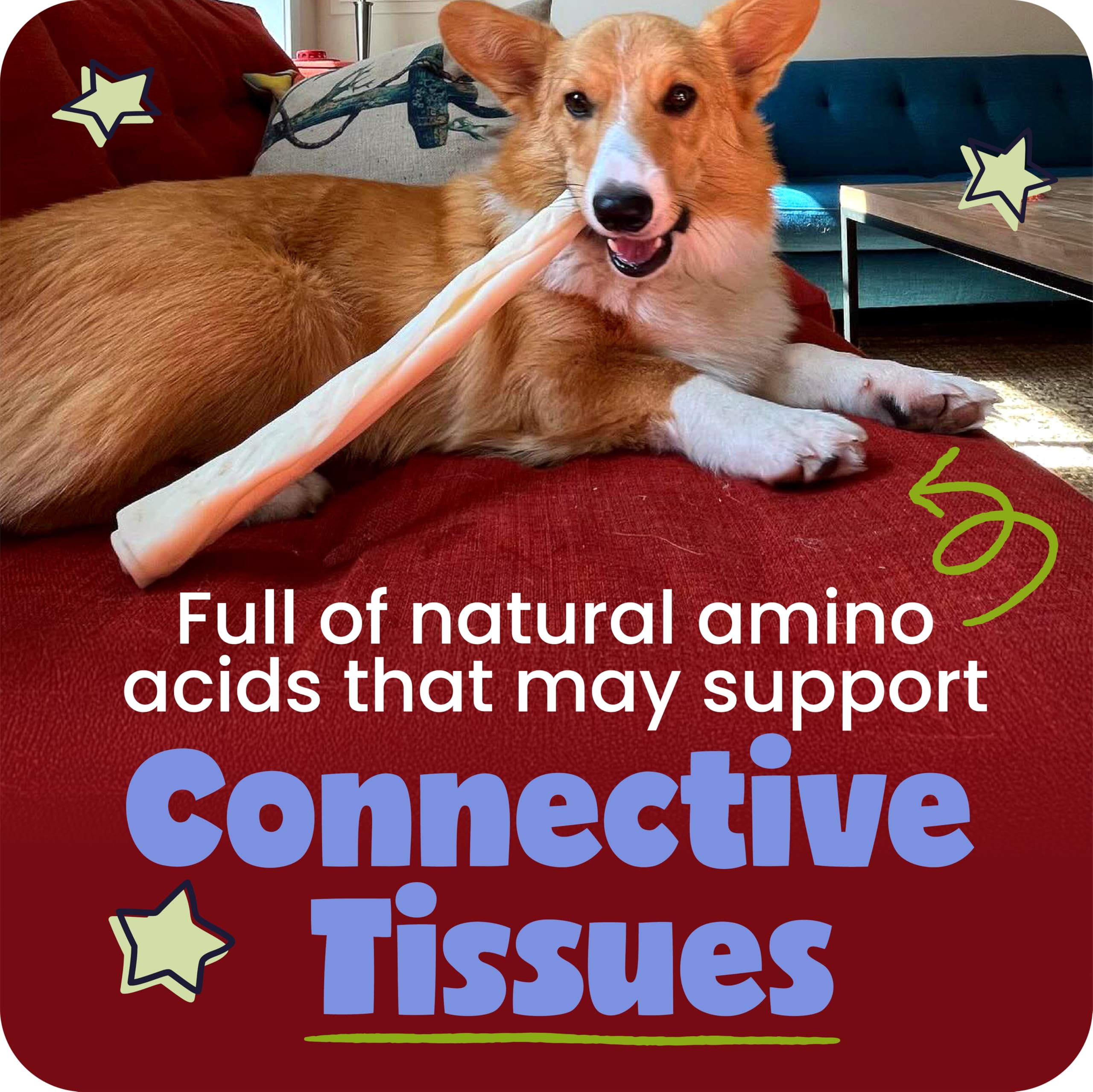 Pawstruck Collagen Barbells dental-focused chew may support gum health