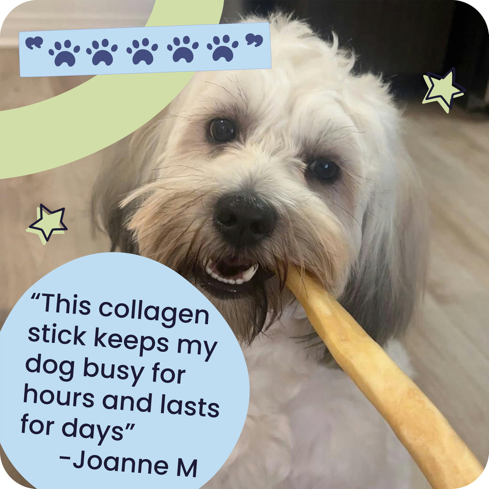 Pawstruck five-pack collagen sticks for easy rewards.