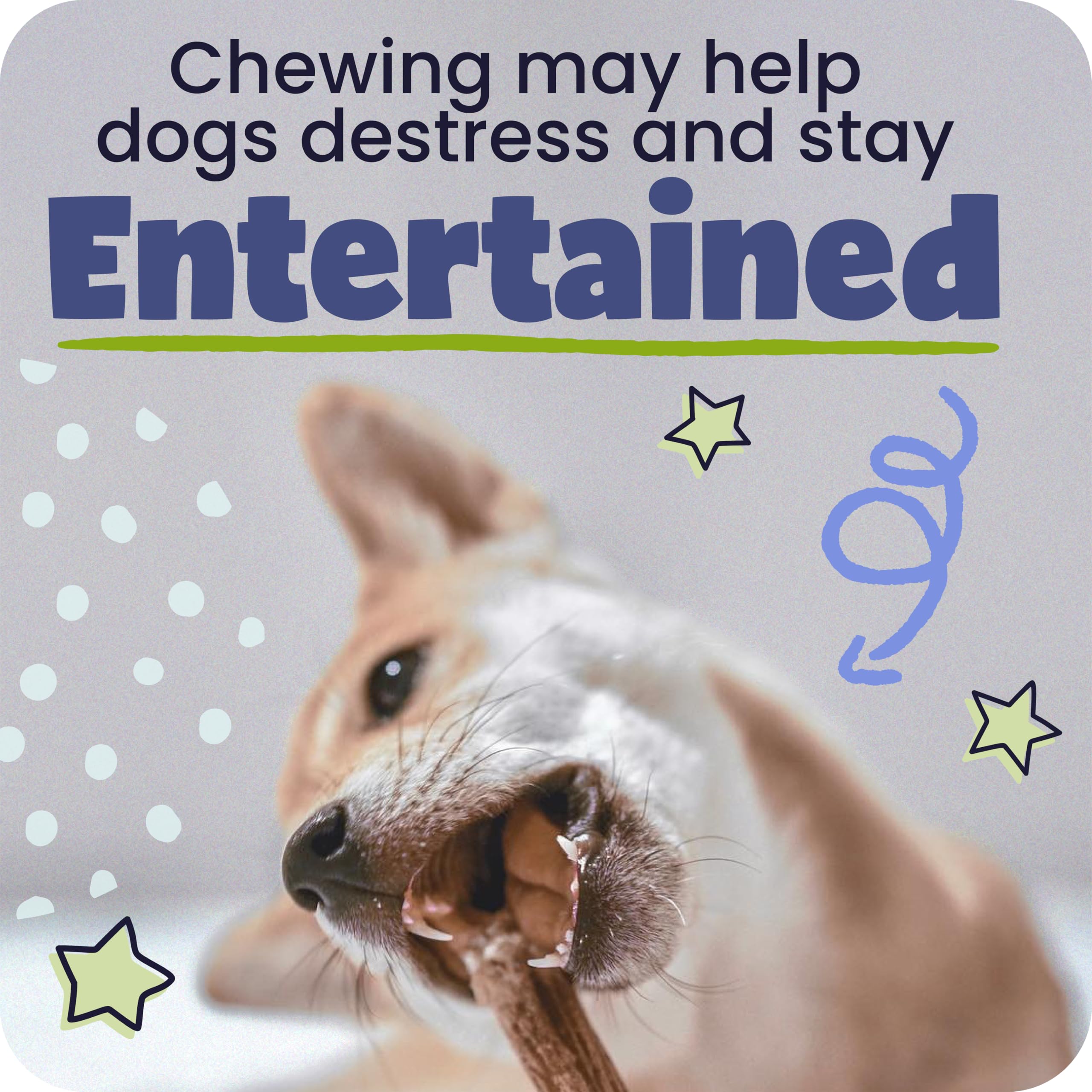 Pawstruck dental-chew action helps massage gums during chewing.