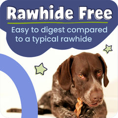 Pawstruck long-lasting chew in a 10-count pack for extended entertainment