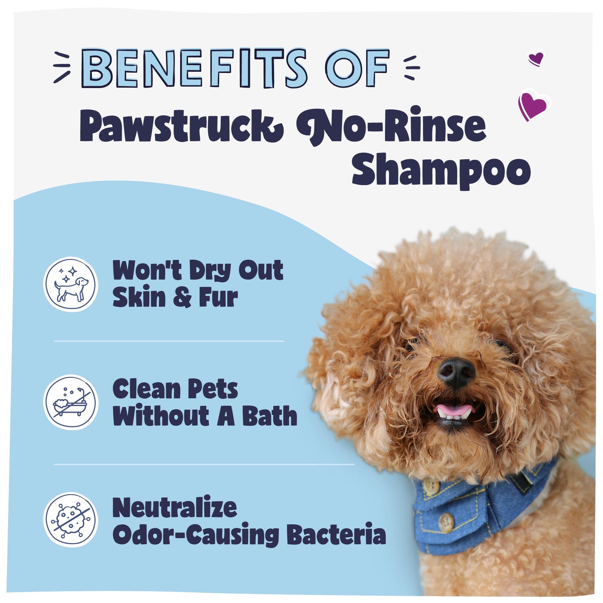 Pawstruck no-rinse spray applied to a dog's coat for odor control