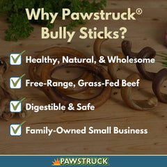 Pawstruck spiral bully stick in action, engaging and challenging for dogs.