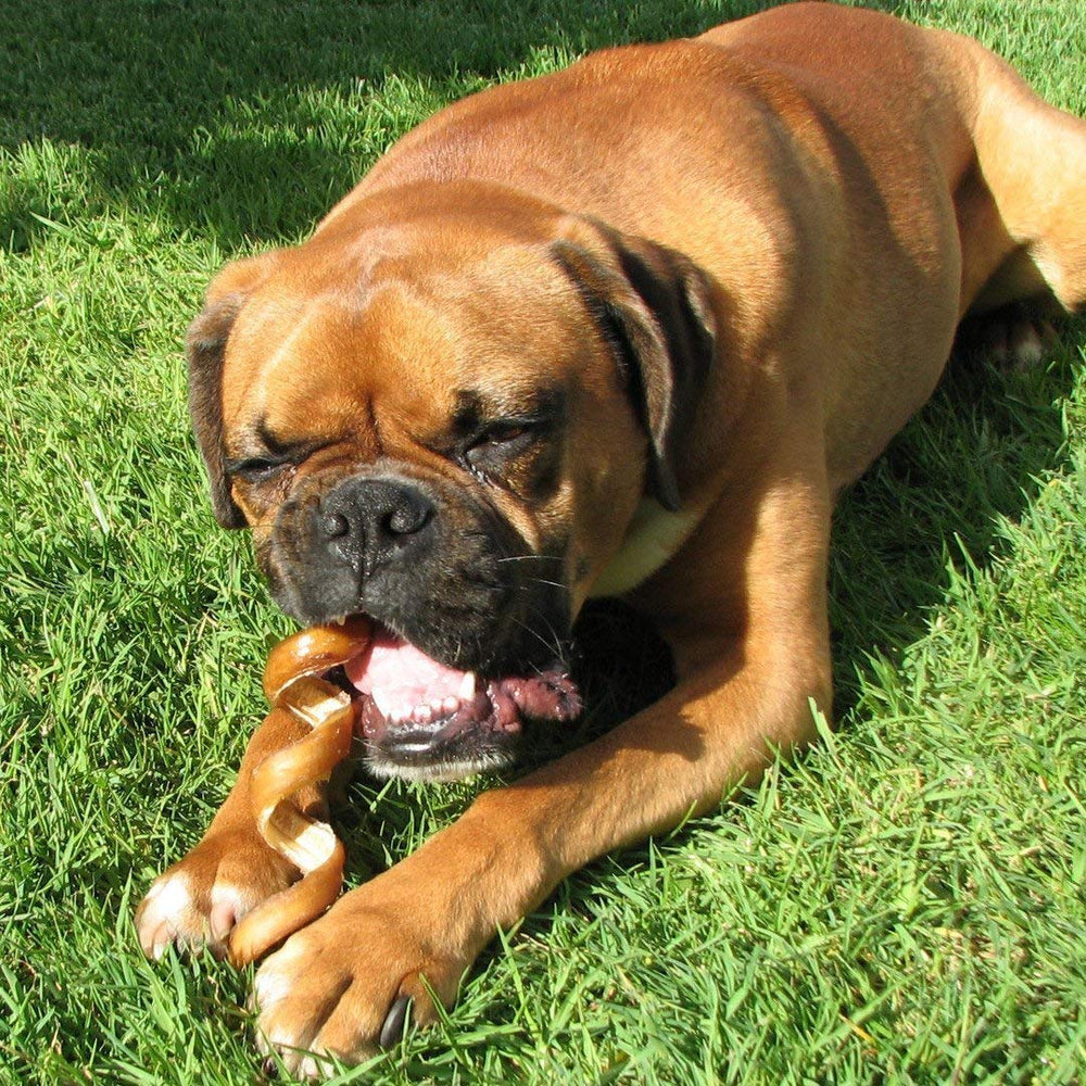 Pawstruck spiral chew for dogs, durable chew with a twist.