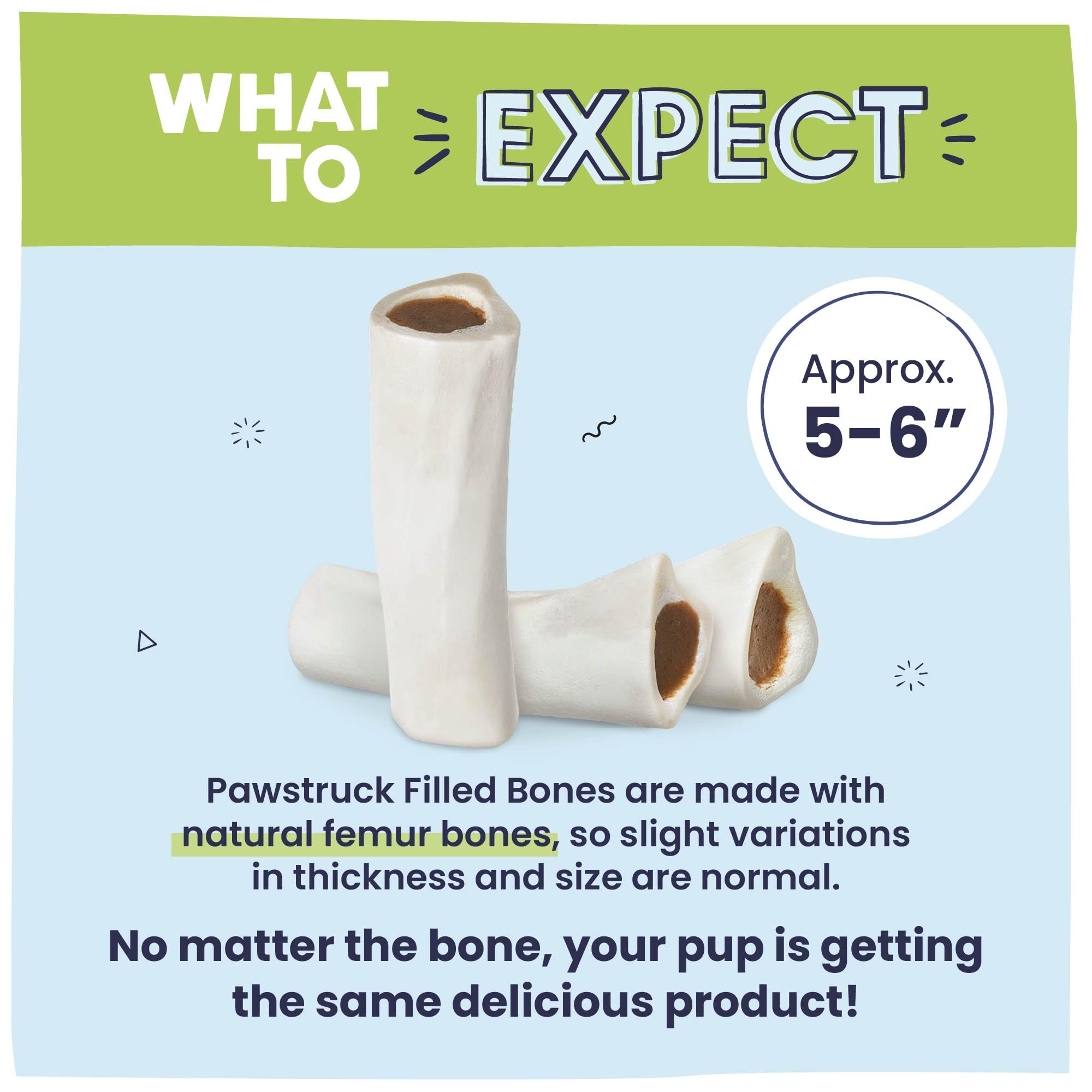 Pawstruck white femur bone with hollow center.