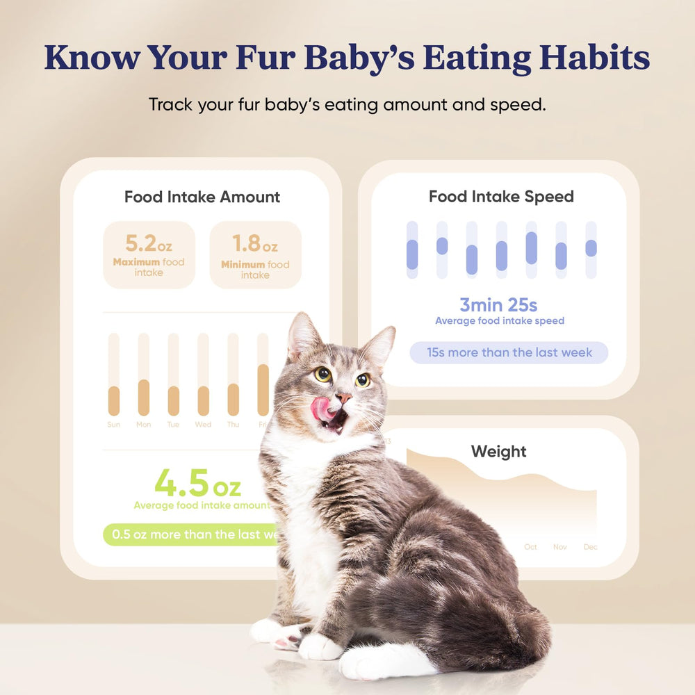 Pawsync feeder dispensing action with precise portion control