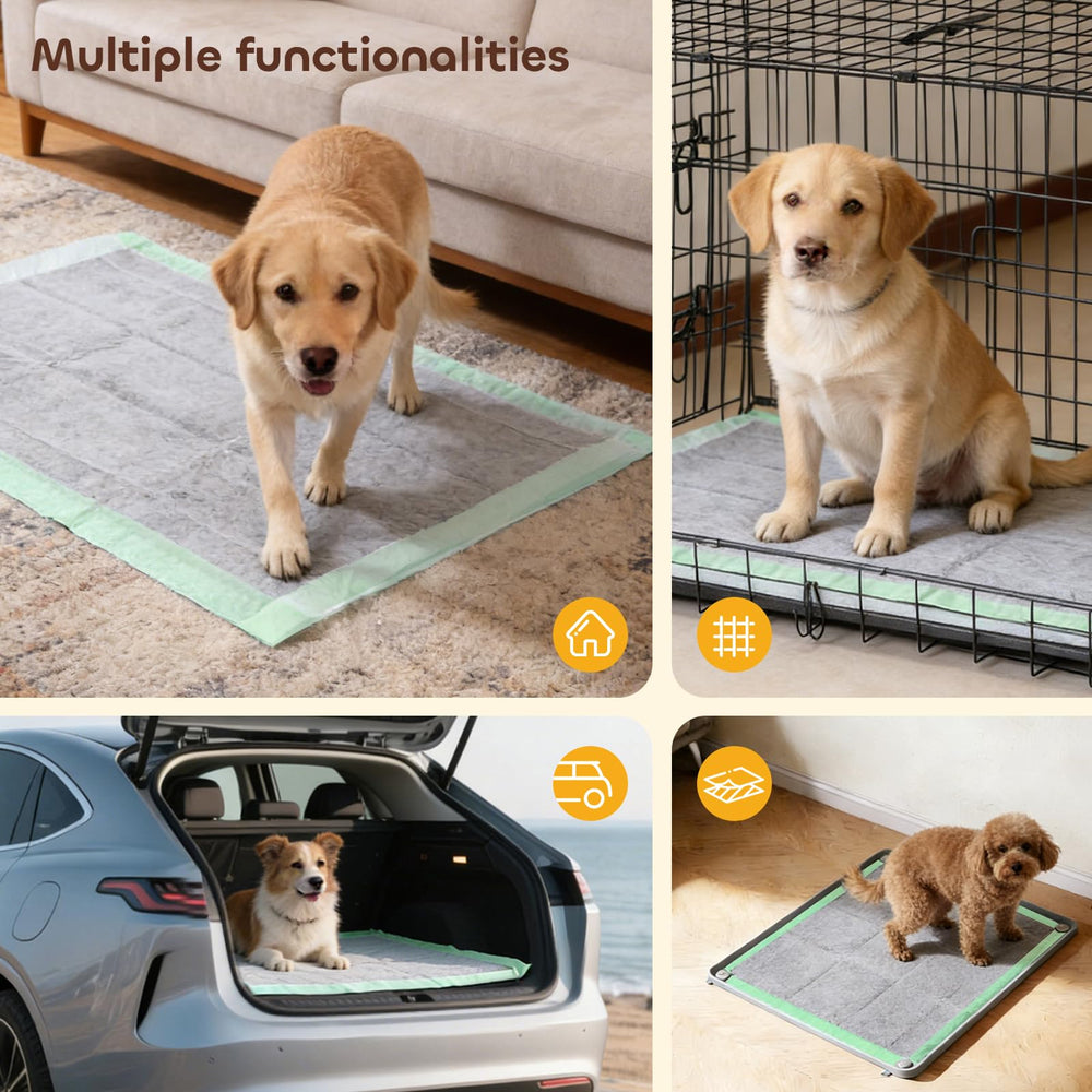 Pawtasy 50-count pack for convenient crates and travel setups
