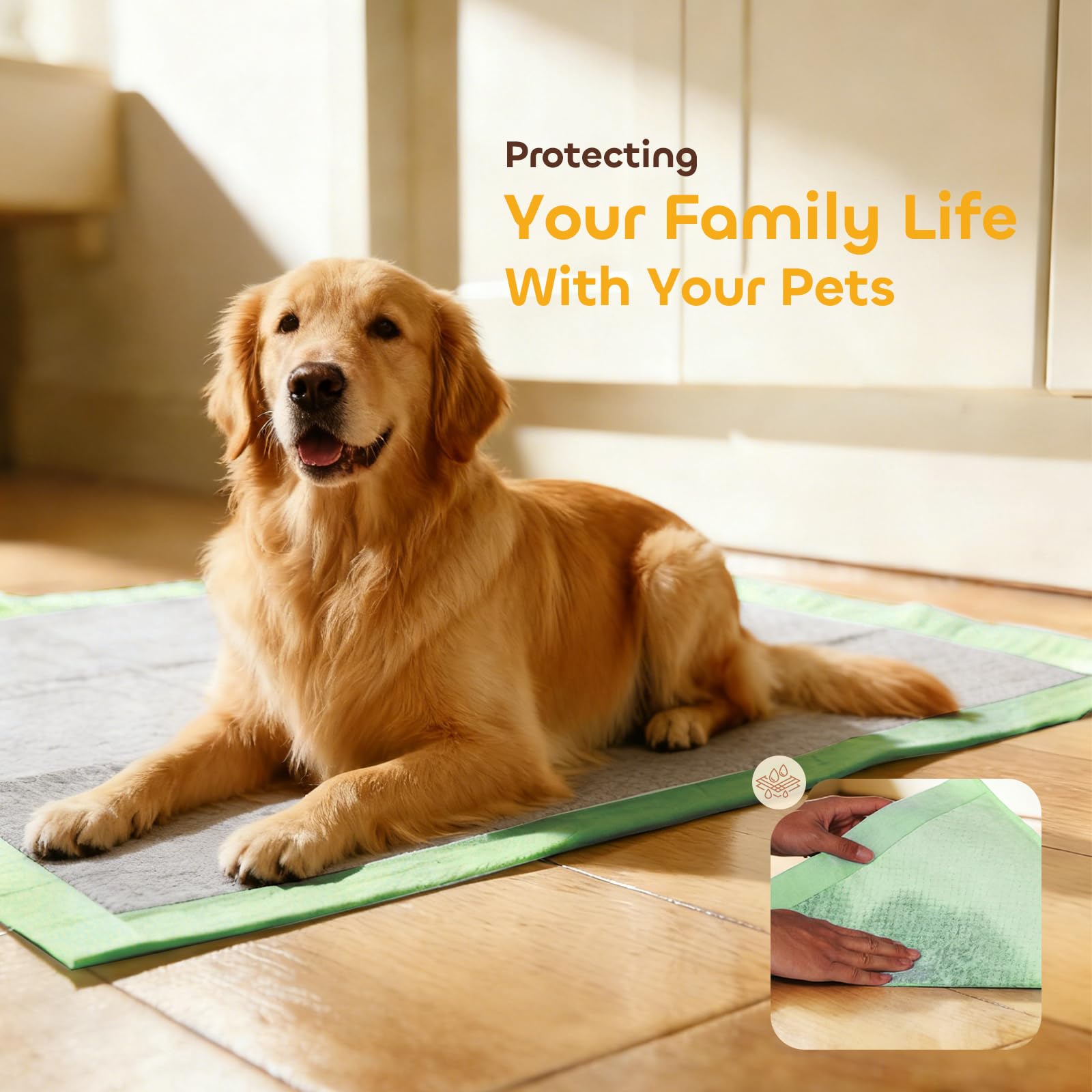 Pawtasy disposable potty pads simplify cleanup after use