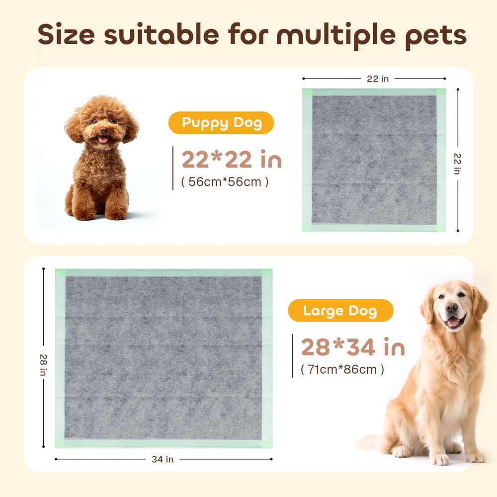 Pawtasy soft hot-air non-woven top feels gentle on paws