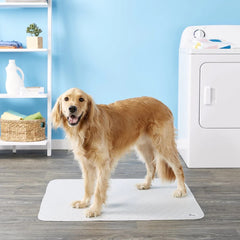 Pet Parents Pawtect Pads in crate shows crate protection for travel and home.